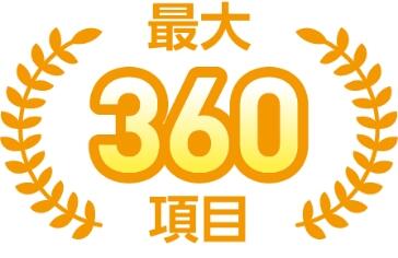 最大360項目