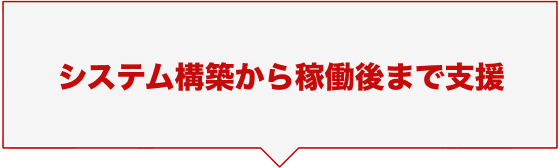 システム構築から稼働後まで支援