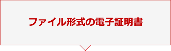 ファイル形式の電子証明書