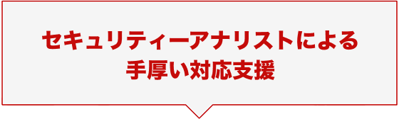 セキュリティーアナリストによる手厚い対応支援