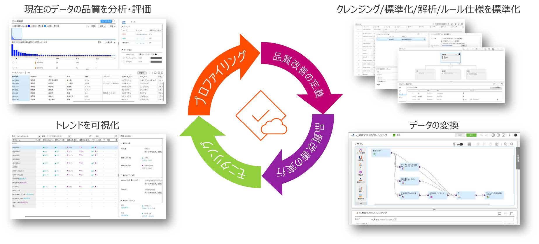 データ品質（Data Quality）