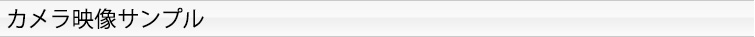 カメラ映像サンプル