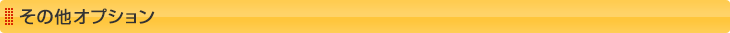 その他オプション