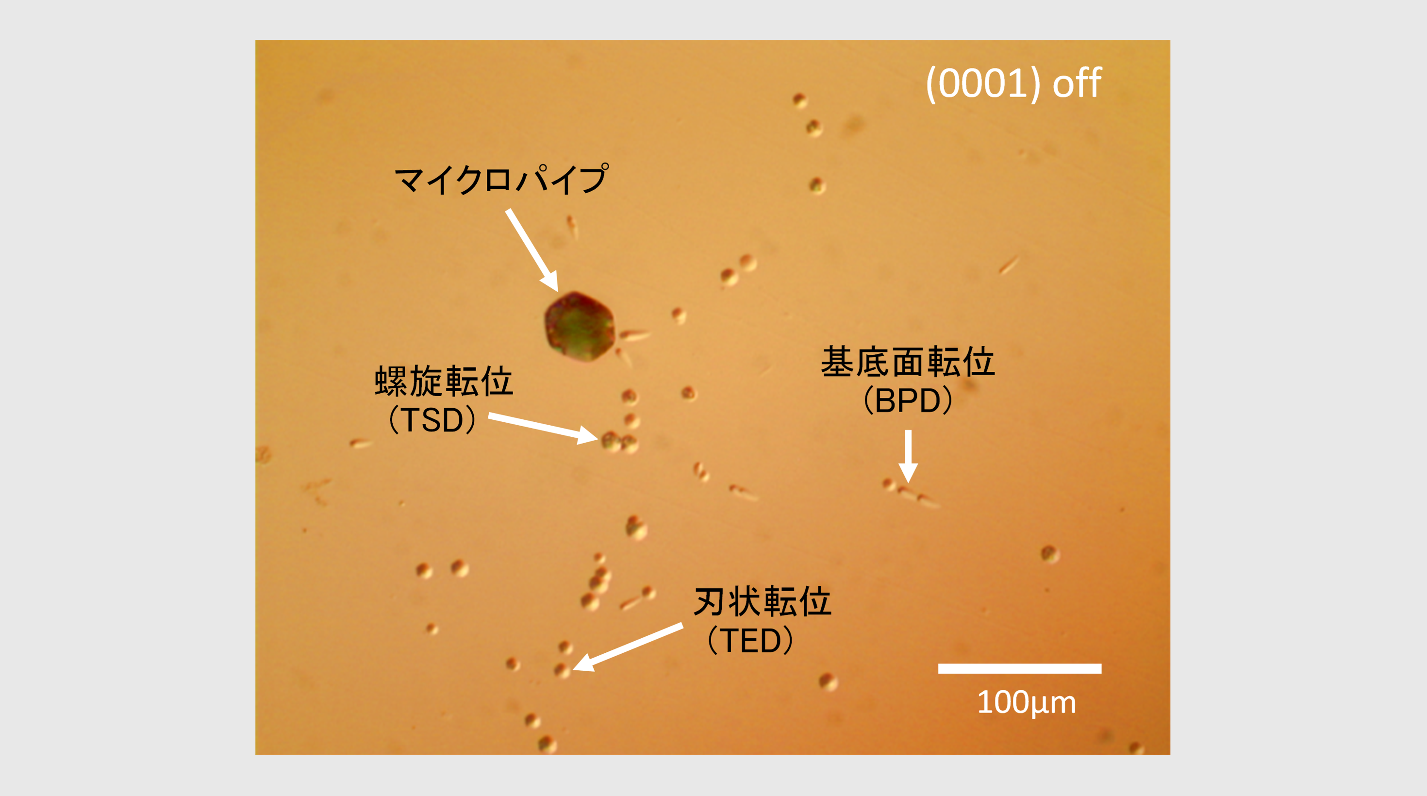 ##@.TEXT_15_05_VEW.NM##