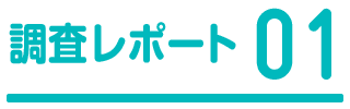 調査レポート1