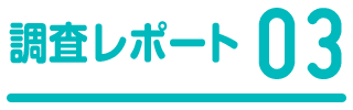 調査レポート3