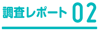 調査レポート2